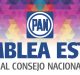 ELEGIRÁ PAN A CONSEJEROS NACIONALES POR SINALOA